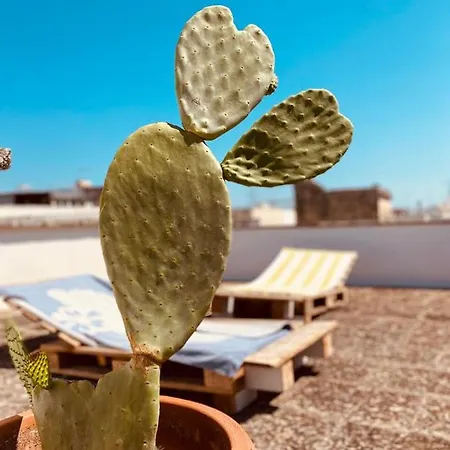 Apartamento La Casa Di Carlotta *